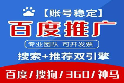 竞价SEM案例分享：行业霸主崛起之路